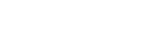 Travisafe